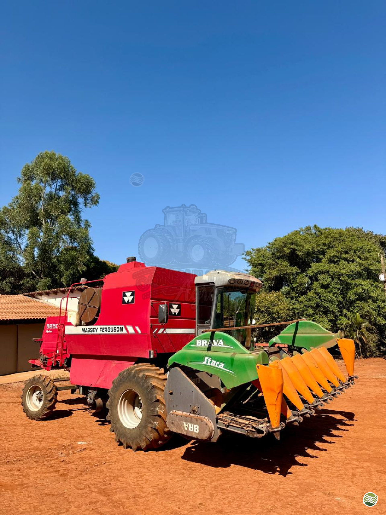 COLHEITADEIRA MASSEY FERGUSON MF 5650 Consulting Agro ITUVERAVA SÃO PAULO SP